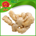 Price of fresh ginger, yellow ginger